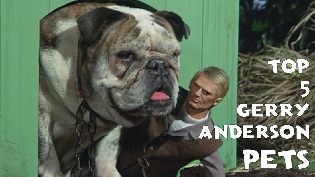 Top 5 Gerry Anderson pets