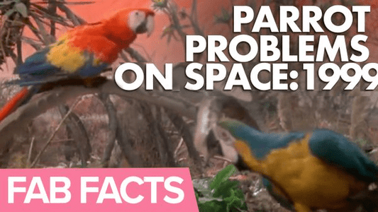 FAB Facts: The Problems Caused by a Parrot on Space:1999 - The Gerry Anderson Store