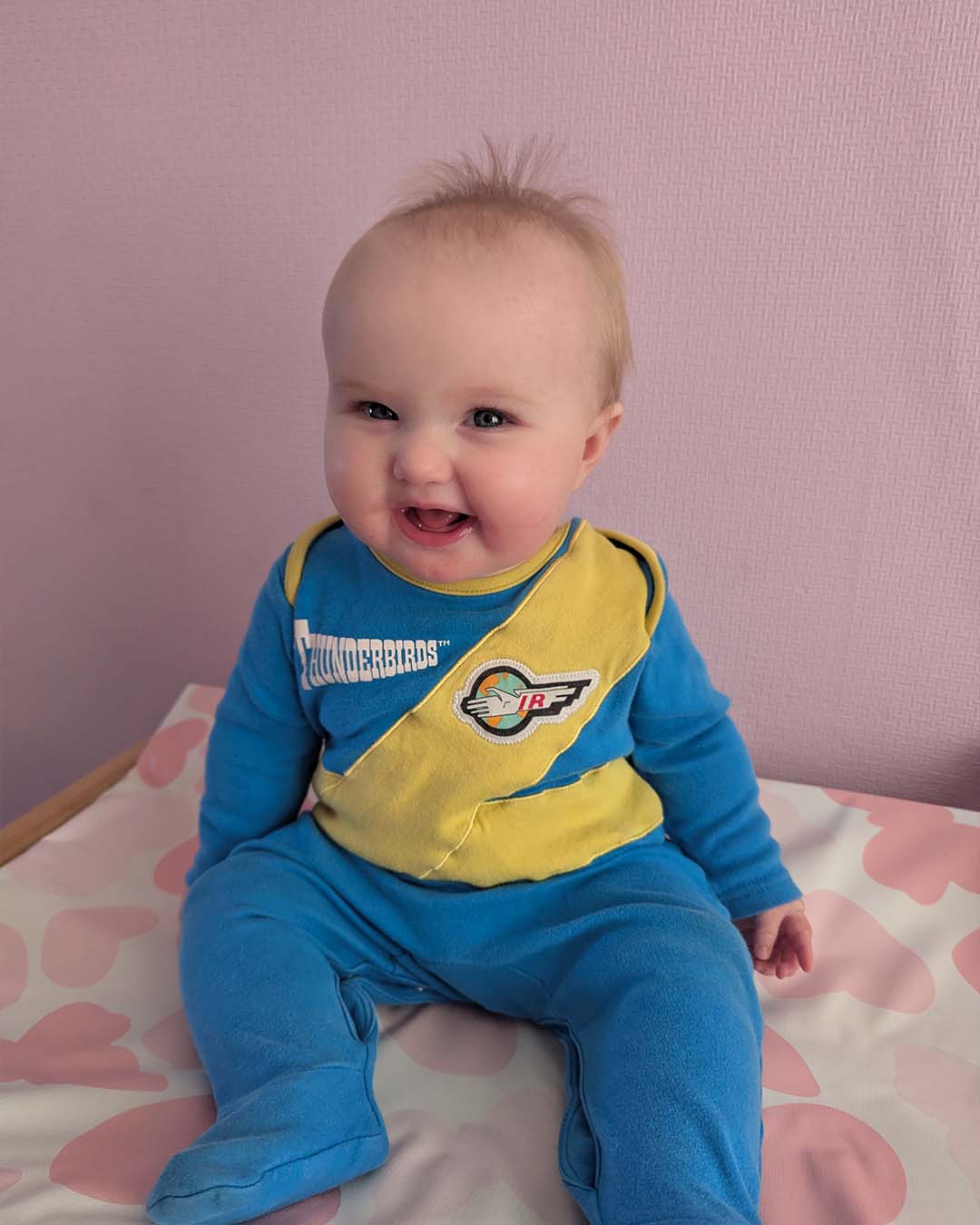 Thunderbirds Fan Memories